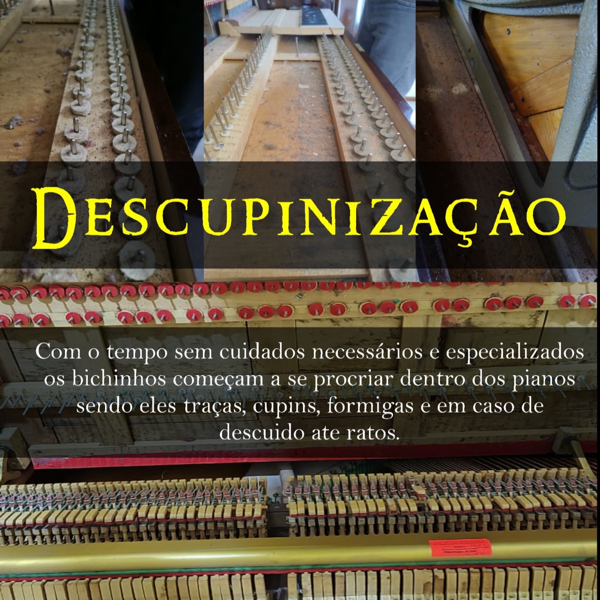 Interior de piano durante descupinização